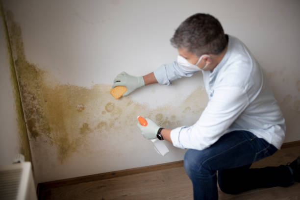 Best Indoor Air Quality Assessment  in Beechwood, MI