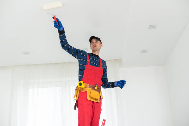 Mold Odor Removal Services in Beechwood, MI