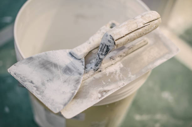 Best Emergency Mold Remediation  in Beechwood, MI